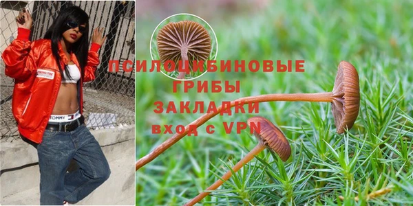 марки nbome Алексеевка