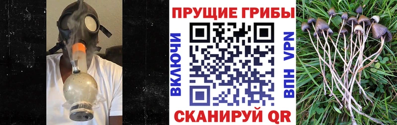 Псилоцибиновые грибы Magic Shrooms  Ханты-Мансийск 